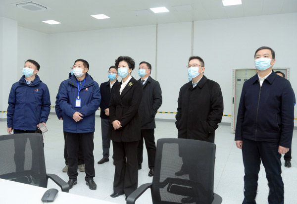张迎春考察湖南电科院检测集团有限公司低压实验室项目