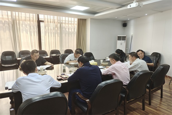 中共湖南电器科学研究院有限公司支部委员会 召开2021年度支委班子党史学习教育 专题组织生活会